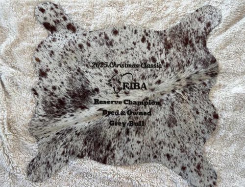 Tomorrow final day to submit entries for the Christmas Classic in Bushnell and avoid late fees.